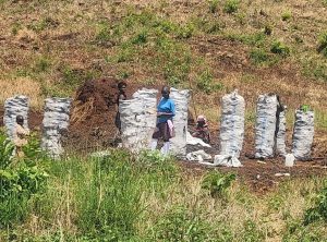 Uganda must stop reliance on wood fuel to curb deforestation.