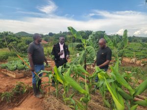 MP Kikabi Hails Agroecology at AIBIS Farm, Vows Support for Climate-Smart Agriculture