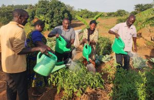 AIBIS CHOSEN TO HOST PDM AGRICULTURE TRAININGS IN KYANKWANZI DISTRICT